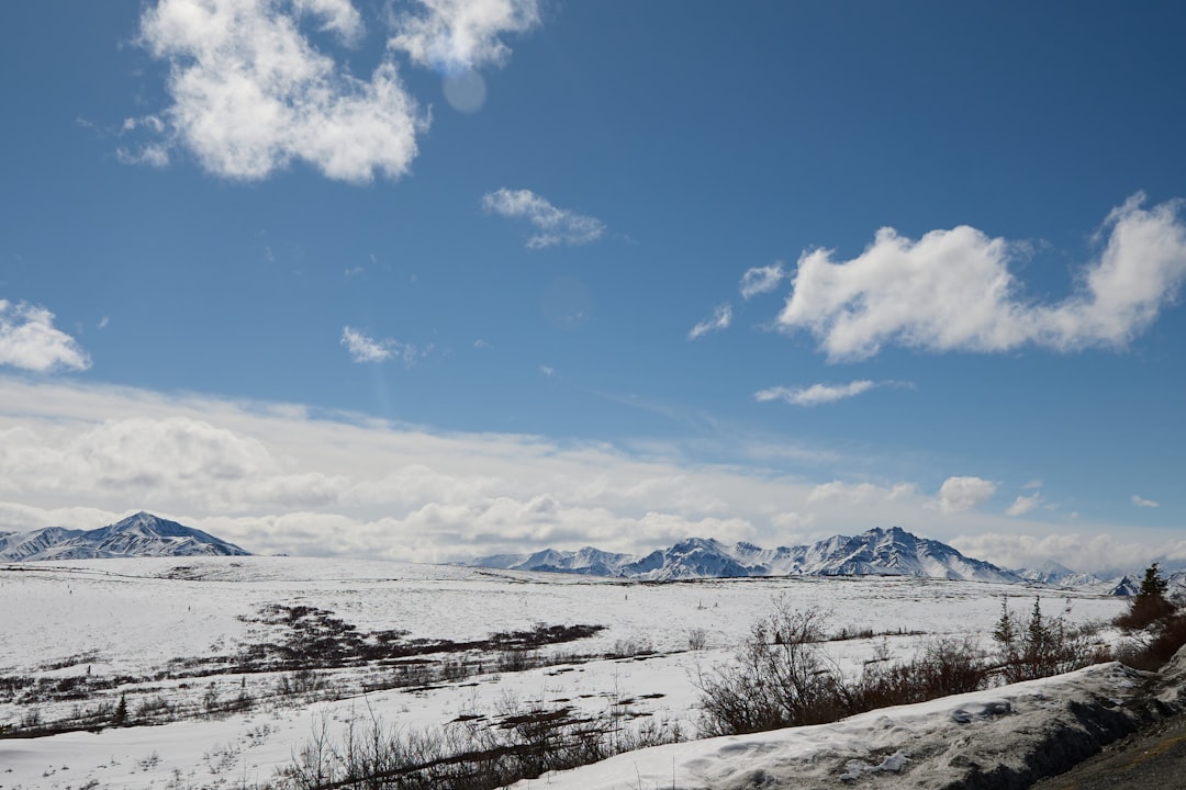 Getting a Passport in Cantwell, AK: Step-by-Step Guide