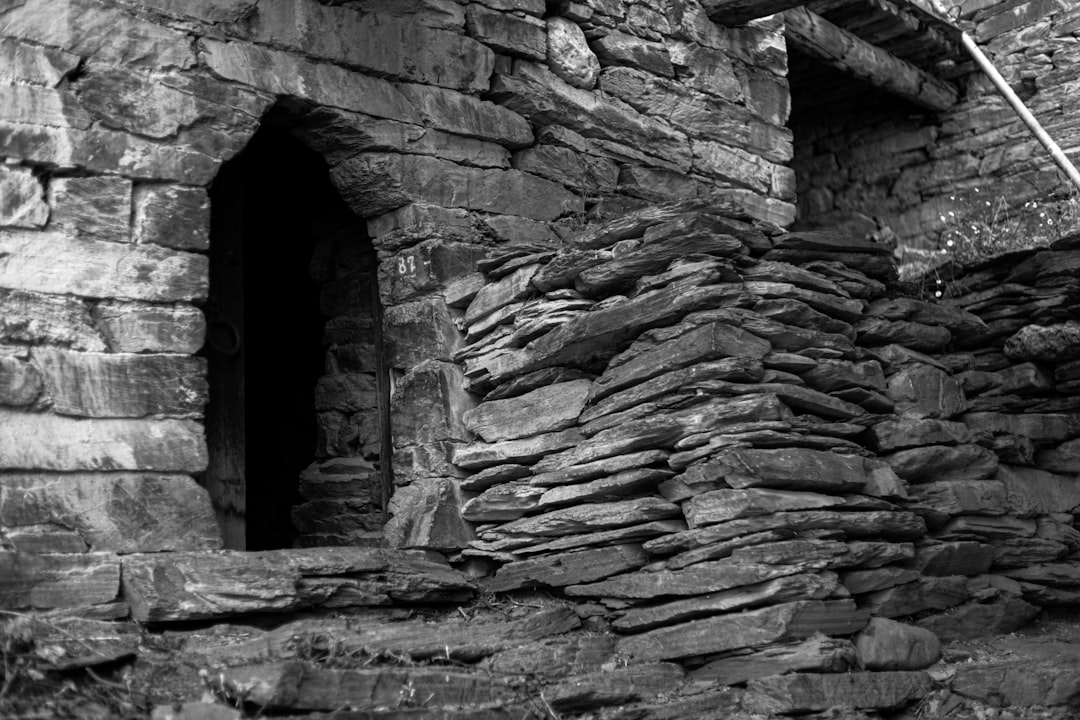 Getting a Passport in Cartersville, GA: Step-by-Step Guide