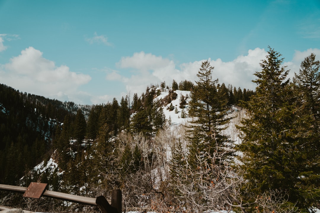 Getting a Passport in Castle Pines, CO: Steps, Facilities, Tips