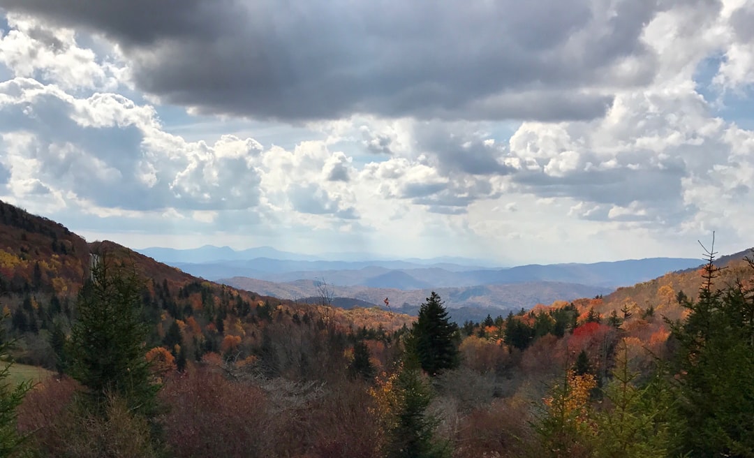 Getting a Passport in Cats Bridge, VA: Full Guide