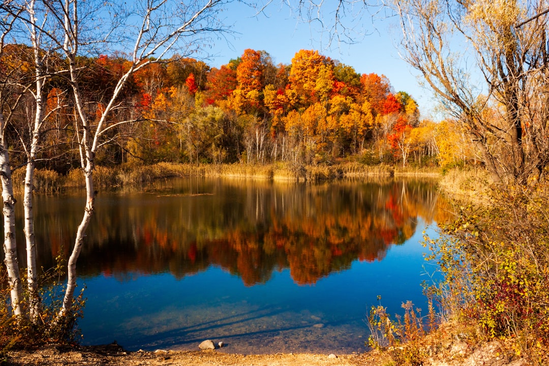 Getting a Passport in Cazenovia, WI: Step-by-Step Guide