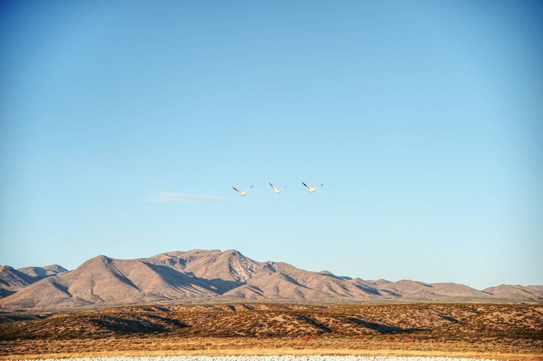 Getting a Passport in Cedar Hill, NM: Steps, Facilities & Pitfalls