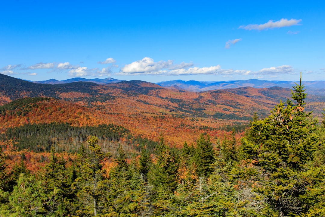 Getting a Passport in Center Ossipee, NH: Step-by-Step Guide