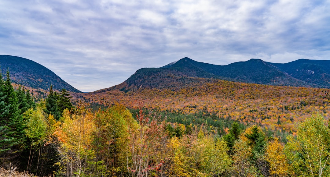 Getting a Passport in Center Sandwich, NH: Facilities & Tips