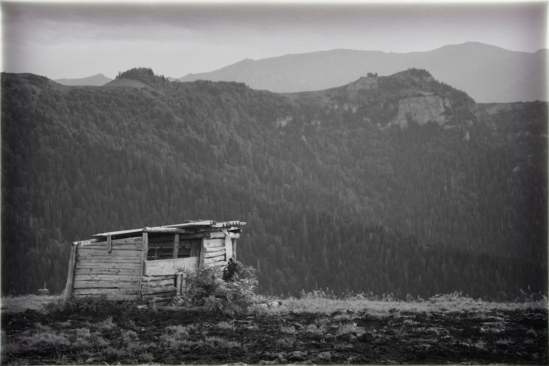 Getting a Passport in Chatsworth, GA: Facilities & Steps