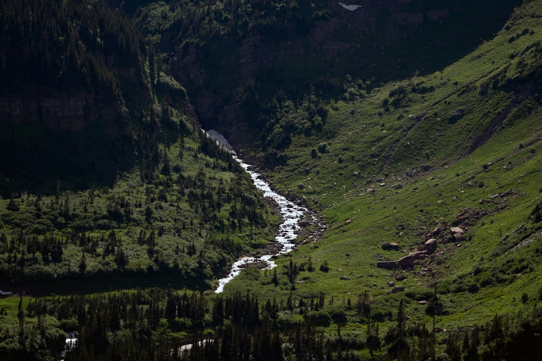 Getting a Passport in Choteau, MT: Step-by-Step Local Guide