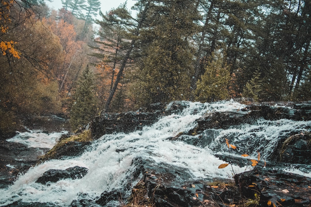 Getting a Passport in Climax, MN: Step-by-Step Guide