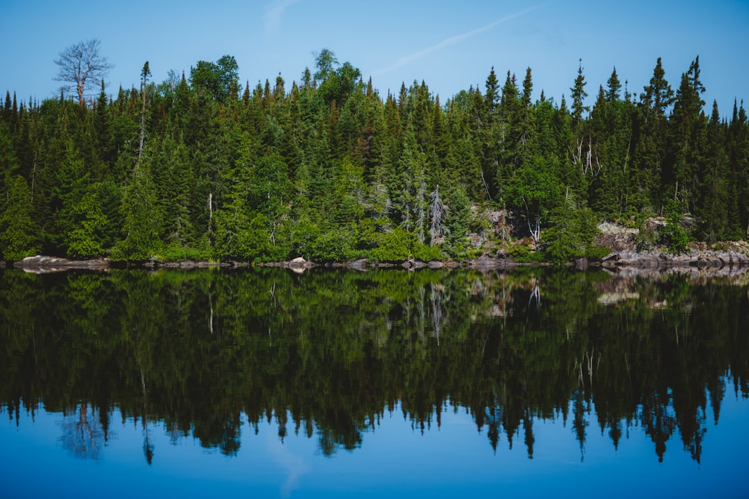 Getting a Passport in Coates, MN: Step-by-Step Local Guide