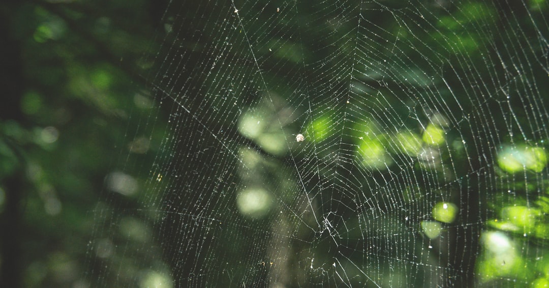 Getting a Passport in Cold Spring, KY: Facilities & Steps