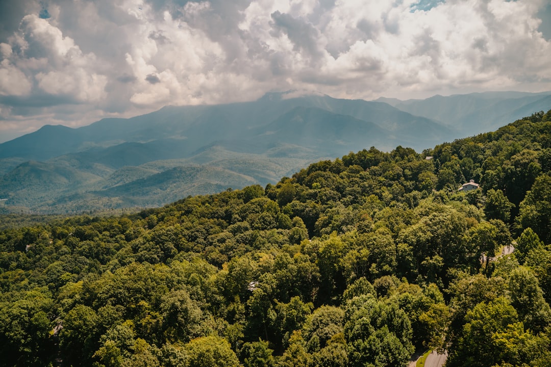 Getting a Passport in Columbia, TN: Step-by-Step Guide