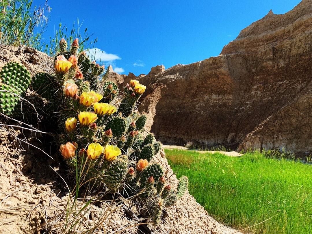 Getting a Passport in Conde, SD: Complete Step-by-Step Guide