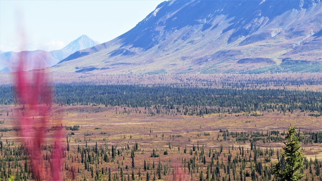 Getting a Passport in Cooper Landing, Alaska: Step-by-Step Guide