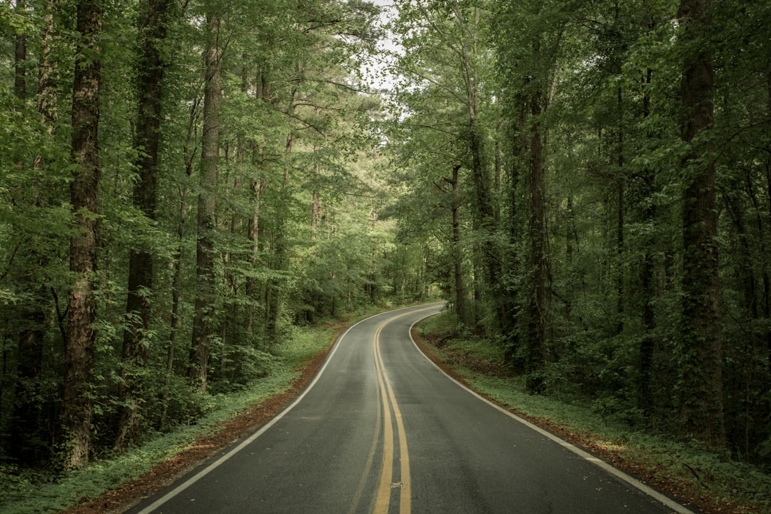 Getting a Passport in Cosby, TN: Steps, Facilities, Tips