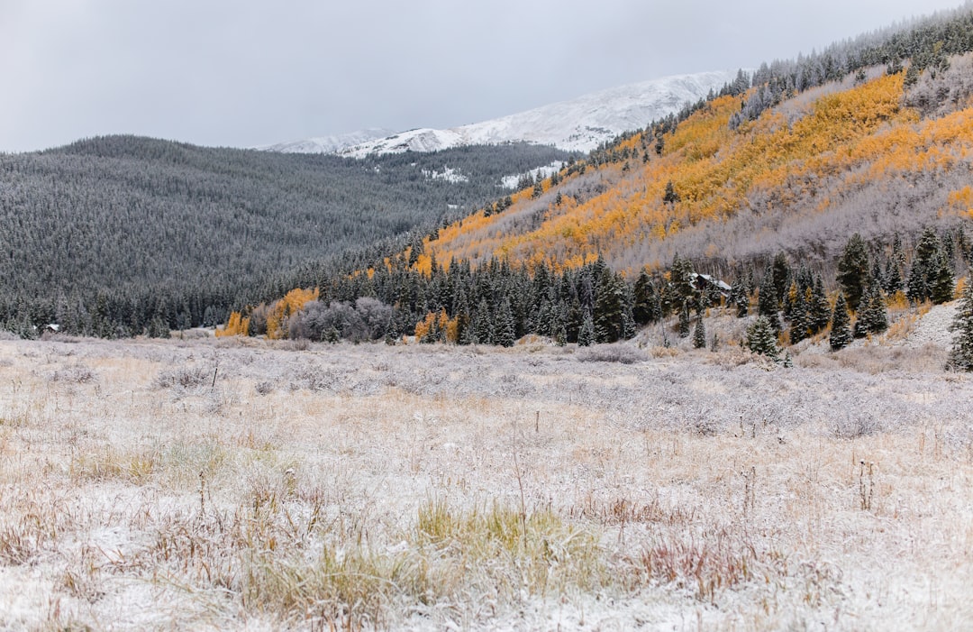 Getting a Passport in Crowley, CO: Facilities, Forms & Tips