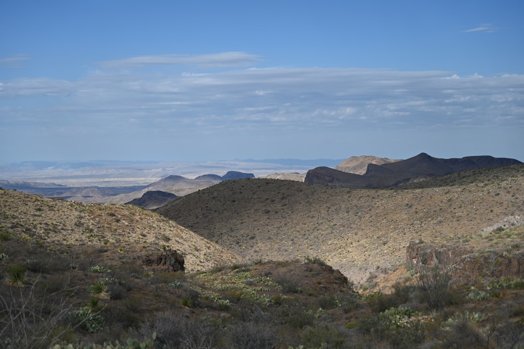 Getting a Passport in Cuevitas, TX: Hidalgo County Guide