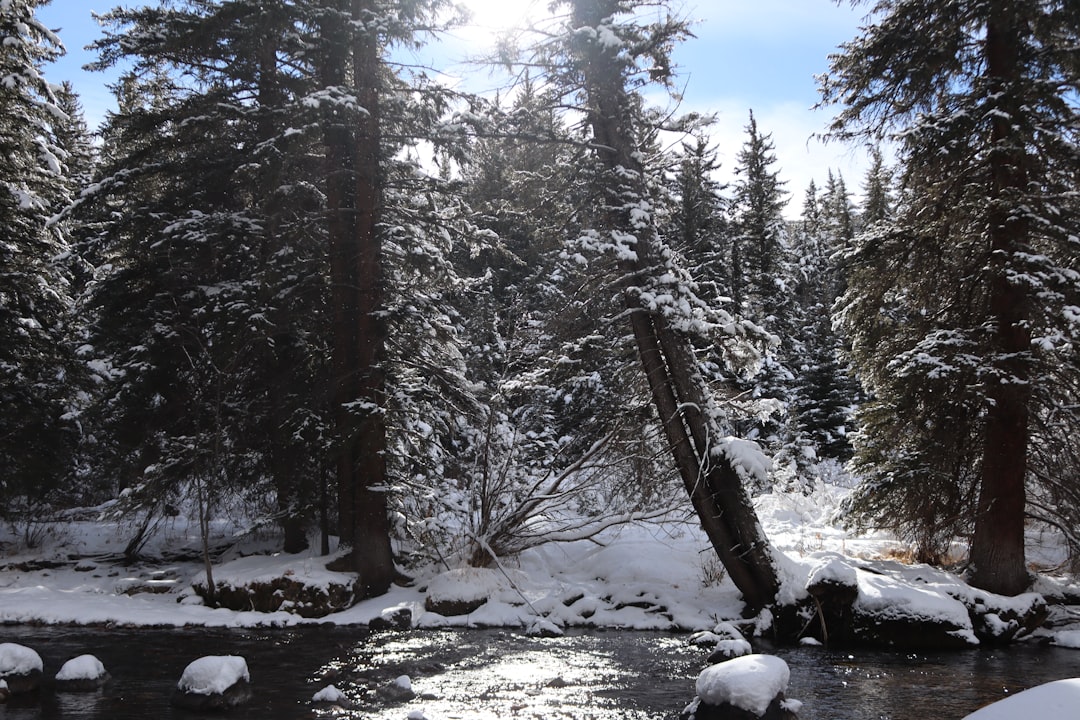 Getting a Passport in Dakota Ridge, CO: 2024 Complete Guide