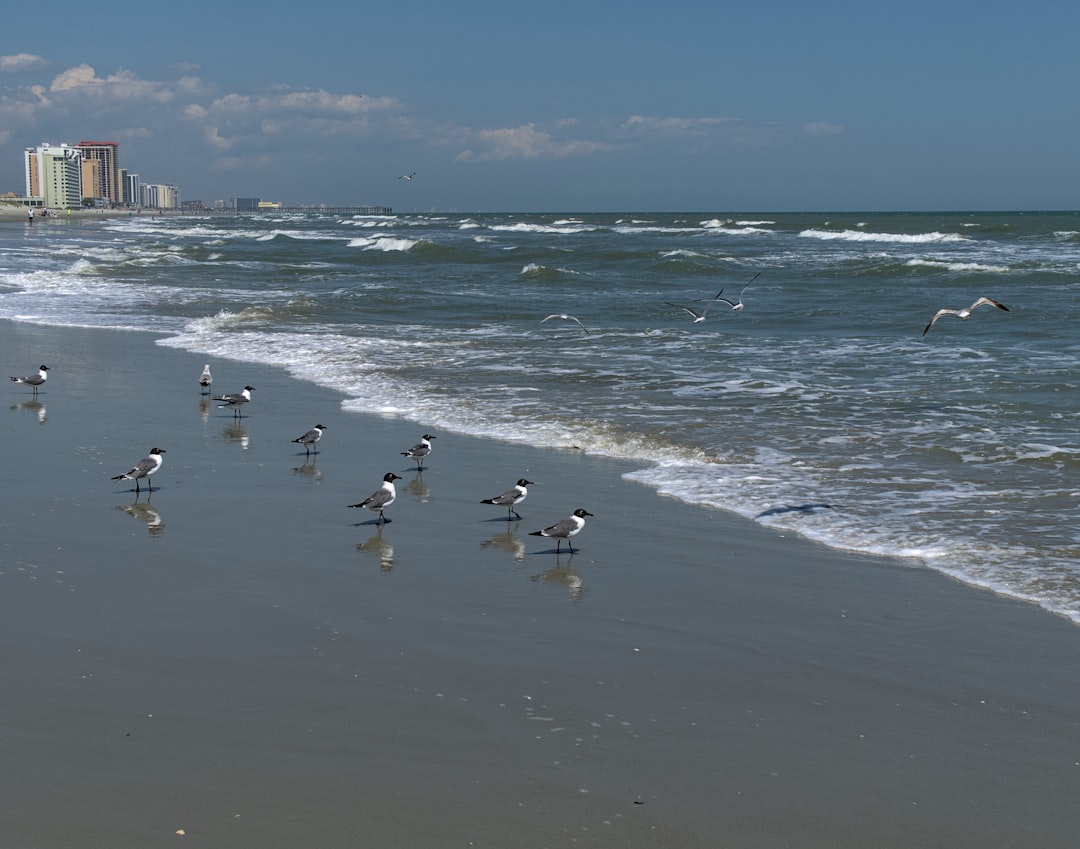 Getting a Passport in Daviston, SC: Facilities & Tips