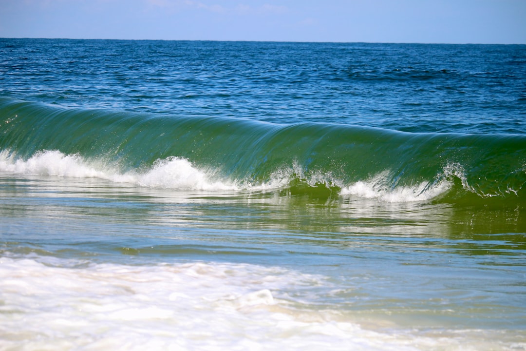 Getting a Passport in Delmar, DE: Process, Facilities, Tips