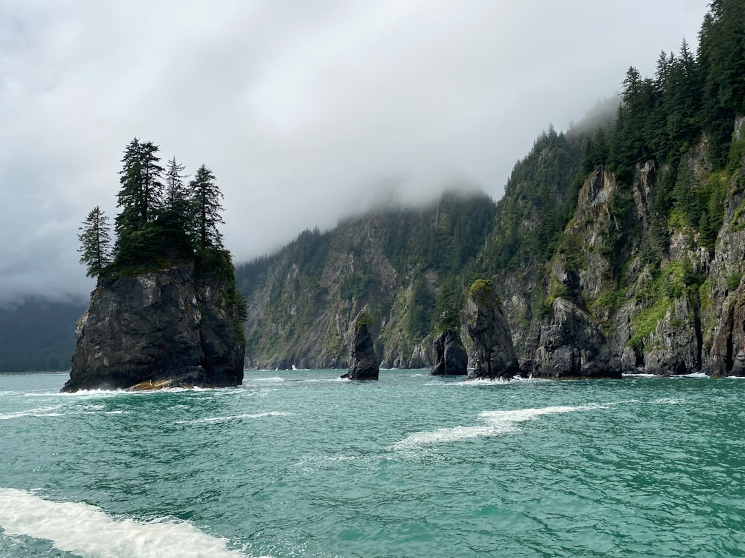 Getting a Passport in Delta Junction, AK: Facilities & Steps