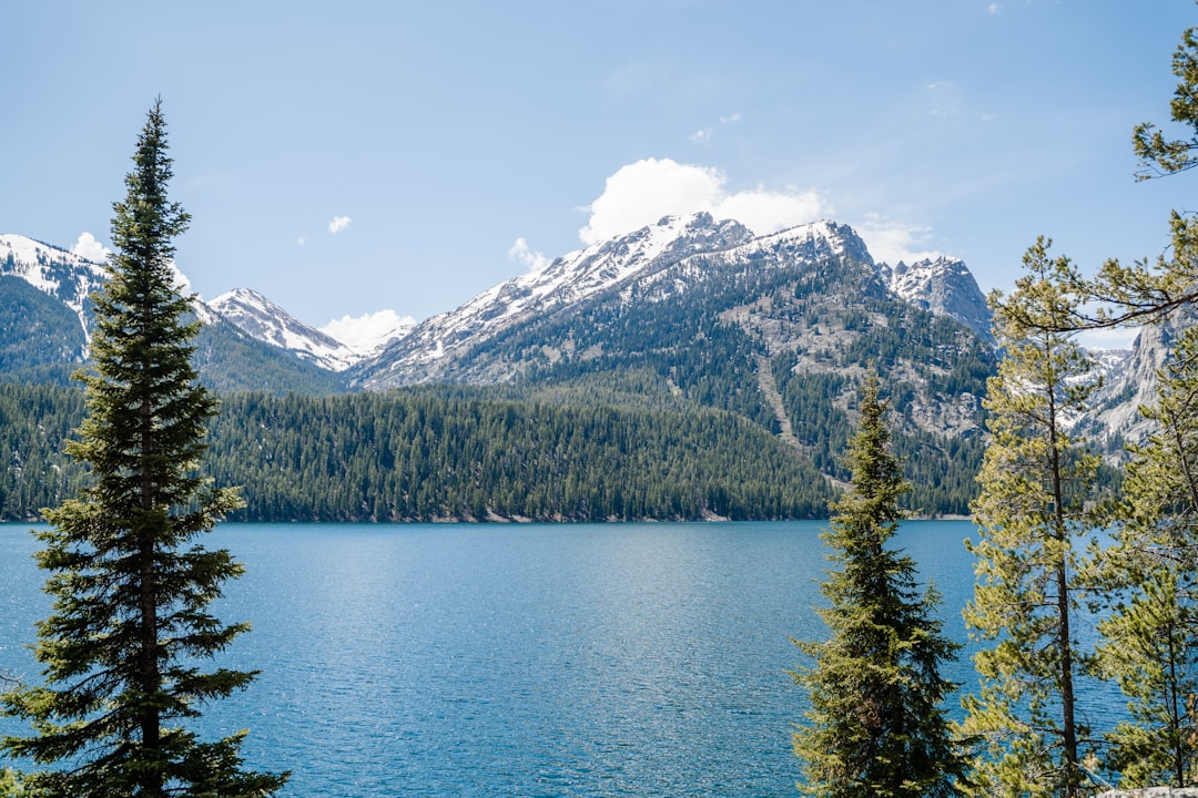 Getting a Passport in Diamondville, WY: Step-by-Step Guide