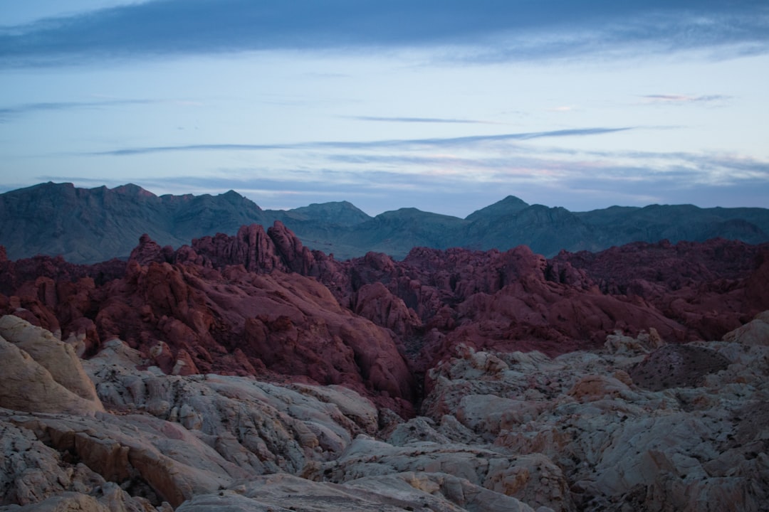 Getting a Passport in Double Spring, NV: Step-by-Step Guide