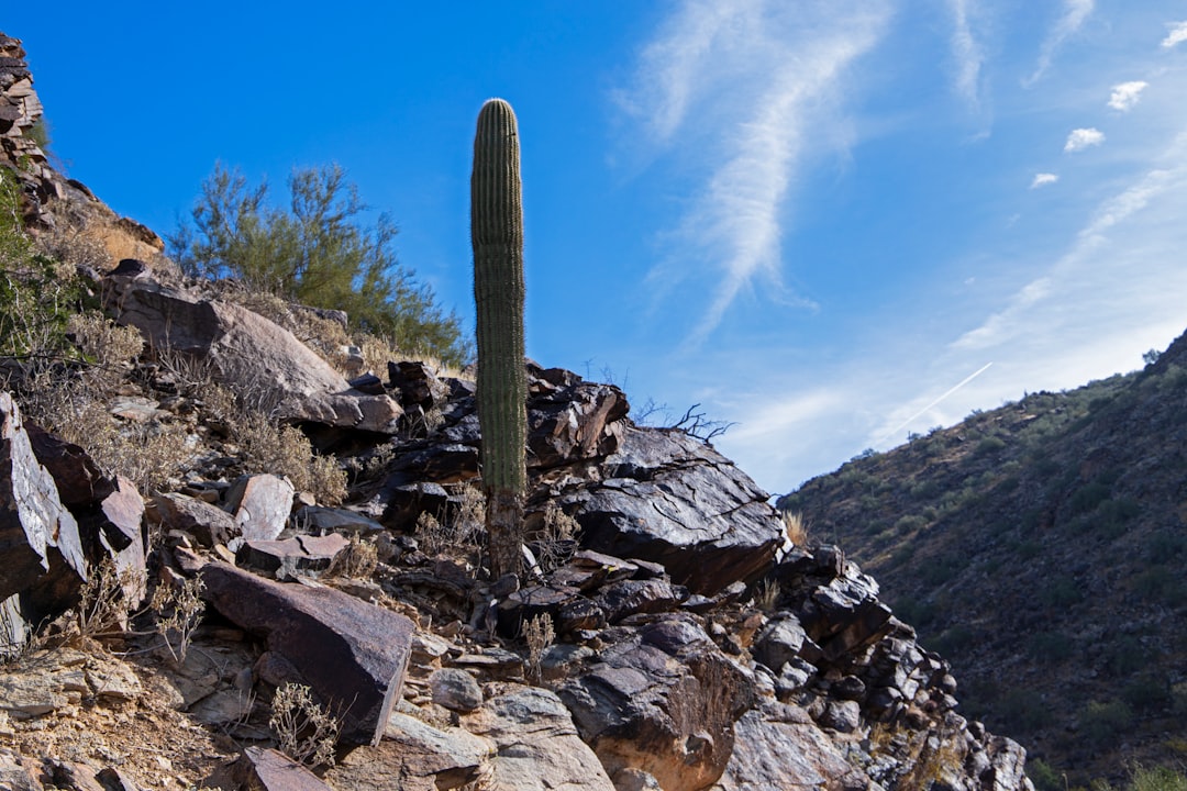 Getting a Passport in Drysdale, AZ: Step-by-Step Guide