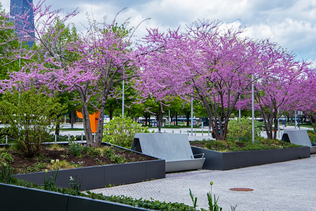 Getting a Passport in East Cape Girardeau, IL: Facilities & Tips