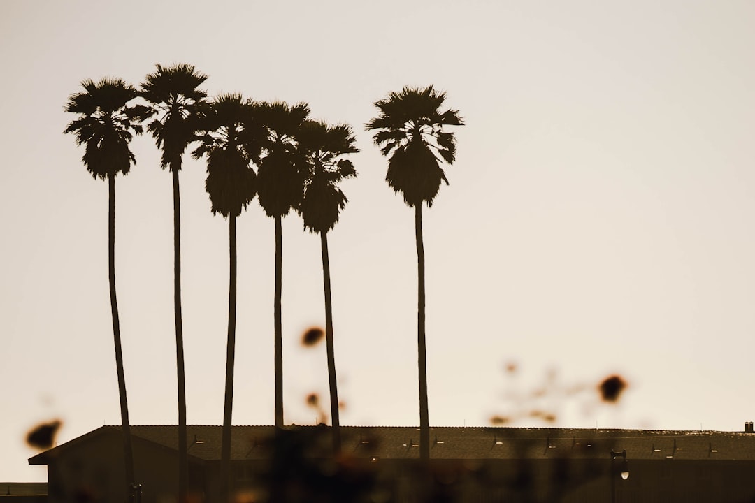 Getting a Passport in East Pasadena, CA: Step-by-Step Guide