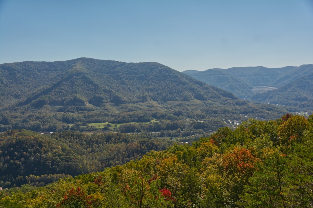 Getting a Passport in Elizaville, KY: Facilities & Tips