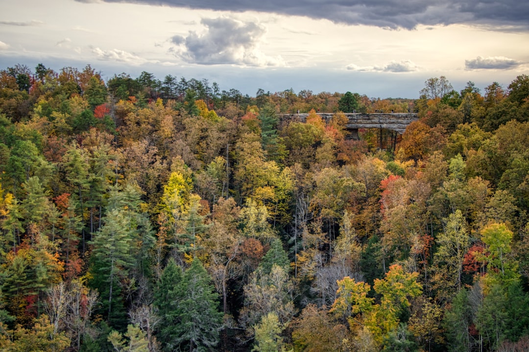 Getting a Passport in Elk Creek, KY: Step-by-Step Guide