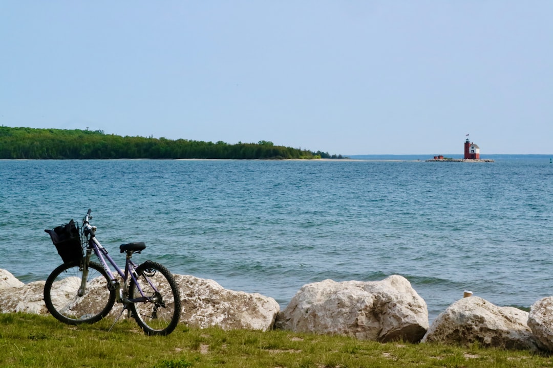 Getting a Passport in Elm Hall, MI: Steps, Facilities, Tips