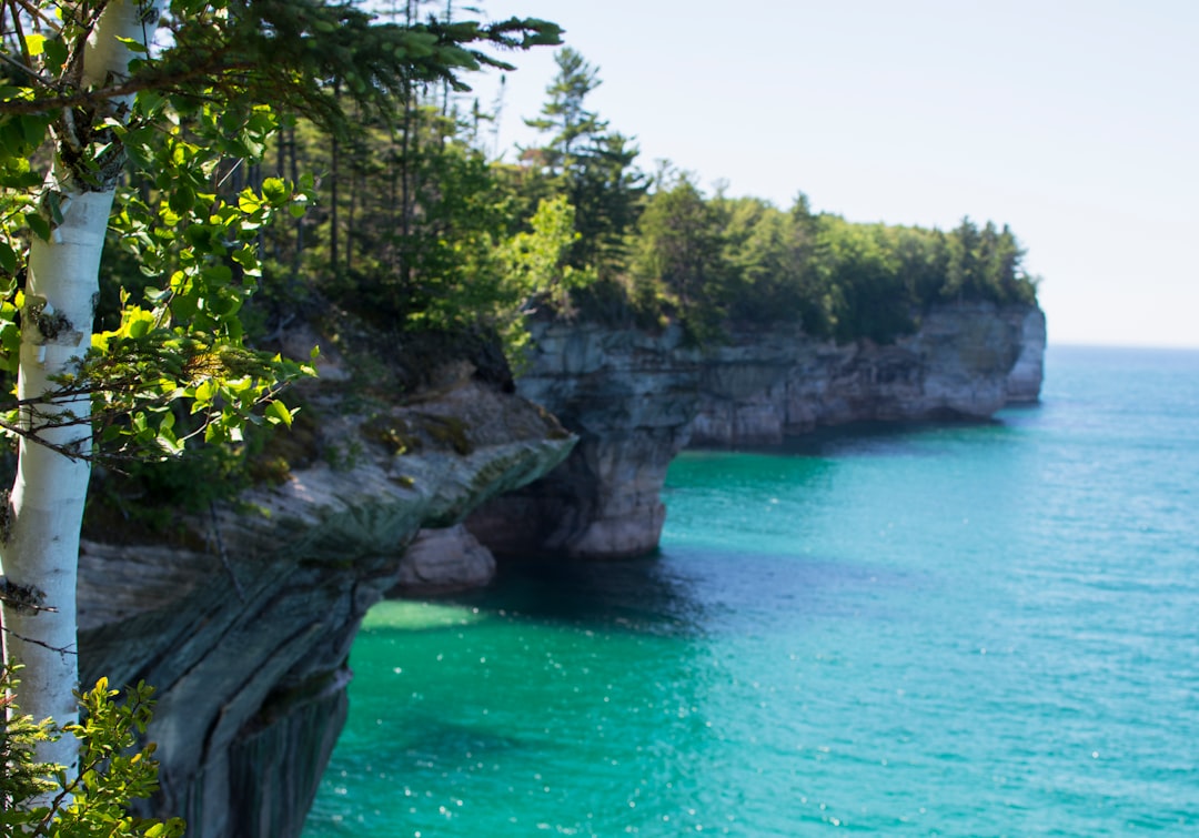 Getting a Passport in Estral Beach, MI: Facilities & Tips