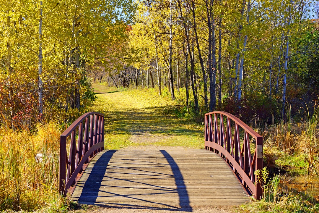 Getting a Passport in Evan, MN: Step-by-Step Guide