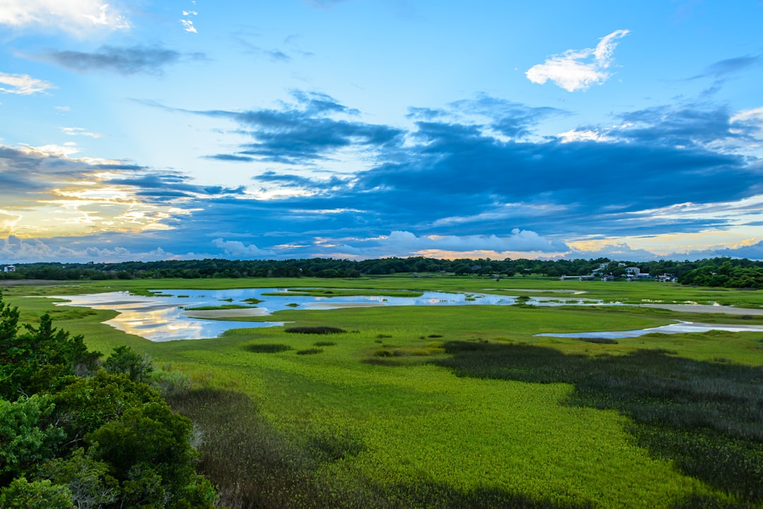 Getting a Passport in Falcon, NC: First-Time, Renewal Guide
