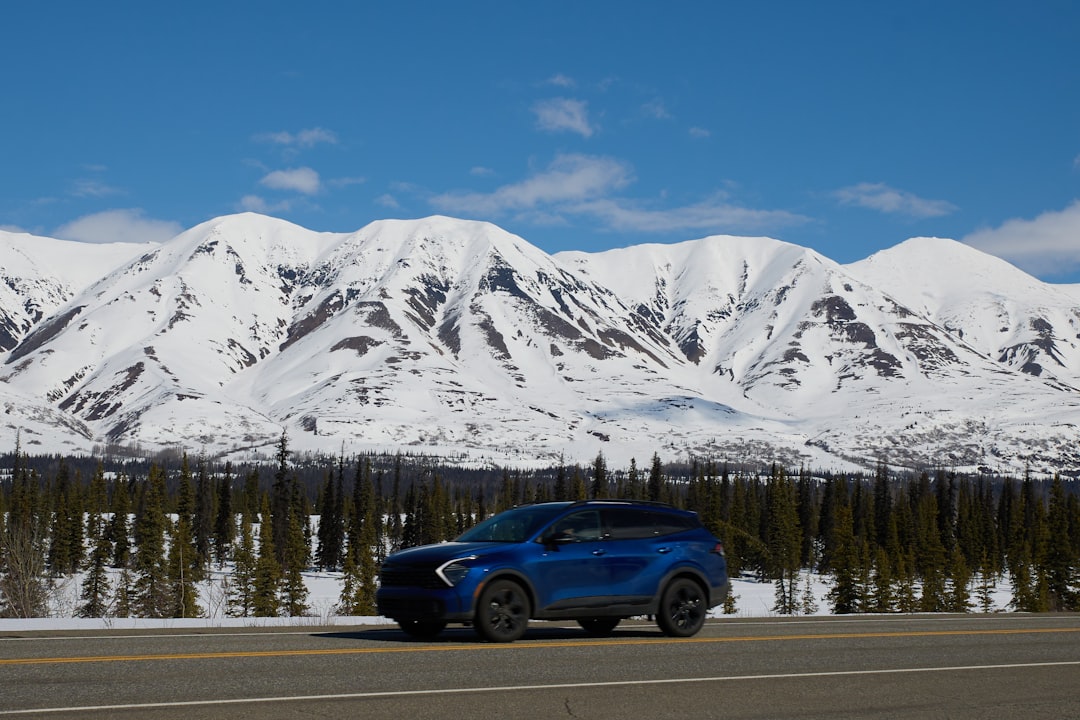 Getting a Passport in Fishhook, AK: Step-by-Step Guide