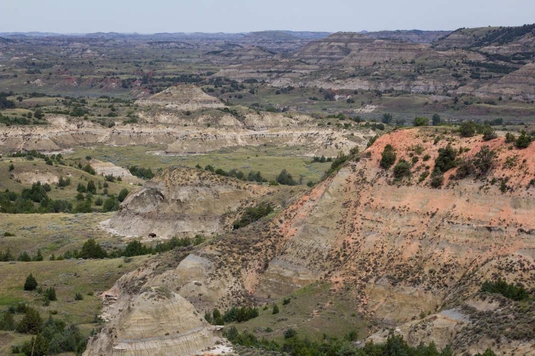 Getting a Passport in Flaxton, North Dakota: Step-by-Step Guide
