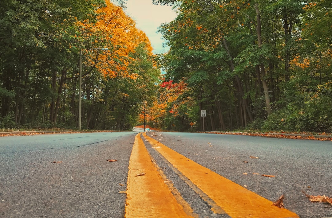 Getting a Passport in Friesland, WI: Steps & Local Facilities
