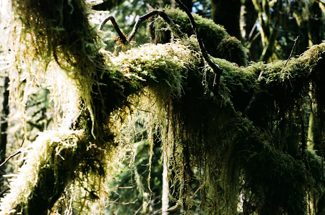 Getting a Passport in Garibaldi, OR: Step-by-Step Guide