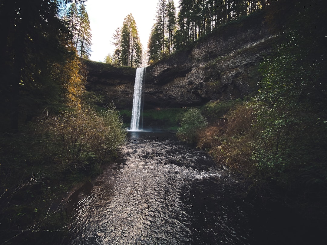 Getting a Passport in Gilchrist OR: Klamath Facilities Guide