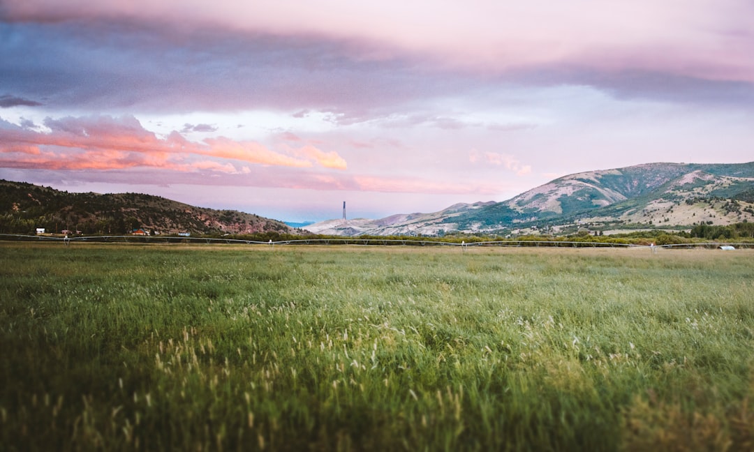 Getting a Passport in Gildford Colony, MT: Havre Guide