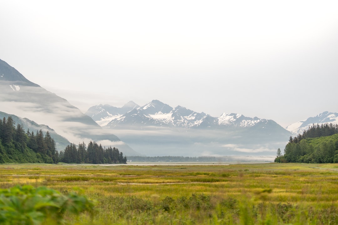 Getting a Passport in Glennallen, AK: Step-by-Step Local Guide