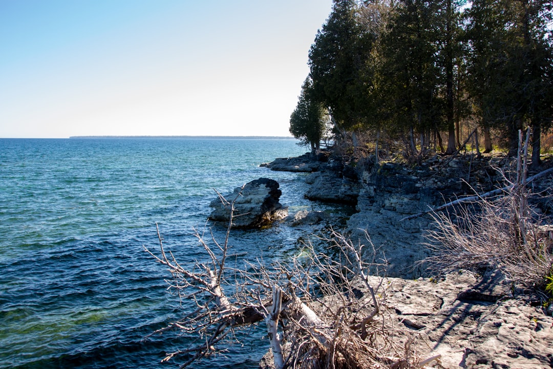 Getting a Passport in Grand Marsh, WI: Steps & Facilities