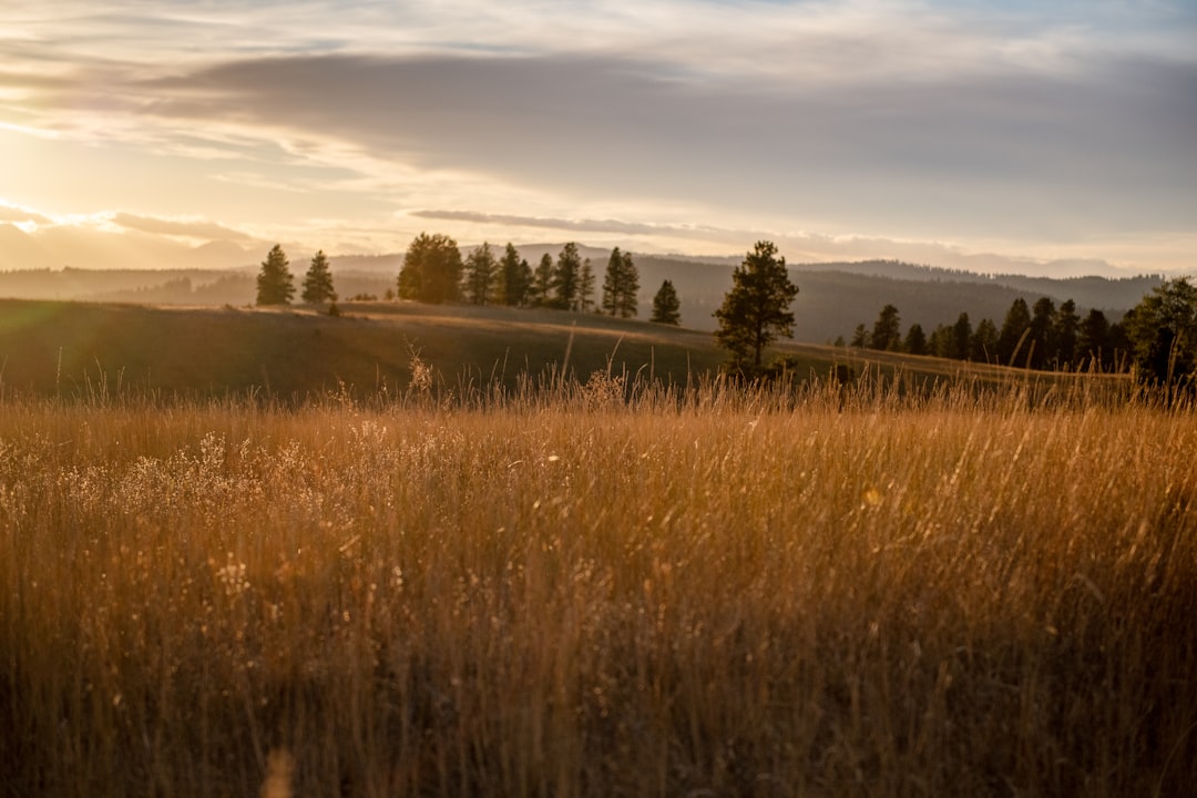 Getting a Passport in Grapeview, WA: Facilities, Forms & Tips