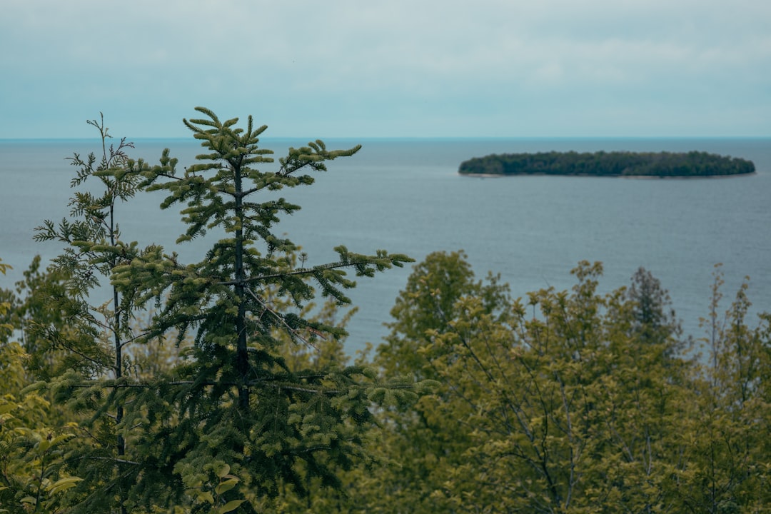 Getting a Passport in Gratiot, WI: Steps, Facilities, Fees