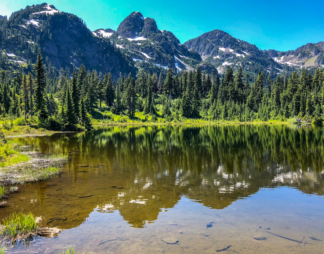 Getting a Passport in Green Bluff, WA: Step-by-Step Guide