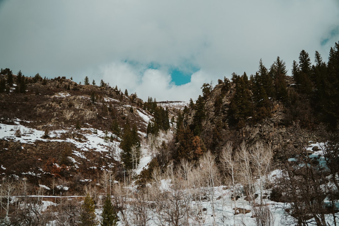 Getting a Passport in Guffey, CO: Facilities, Steps & Tips