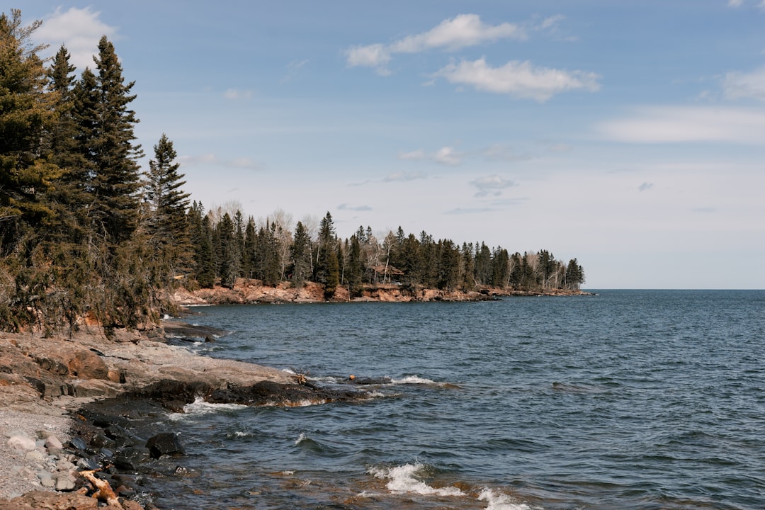 Getting a Passport in Harding, MN: Facilities, Steps & Tips
