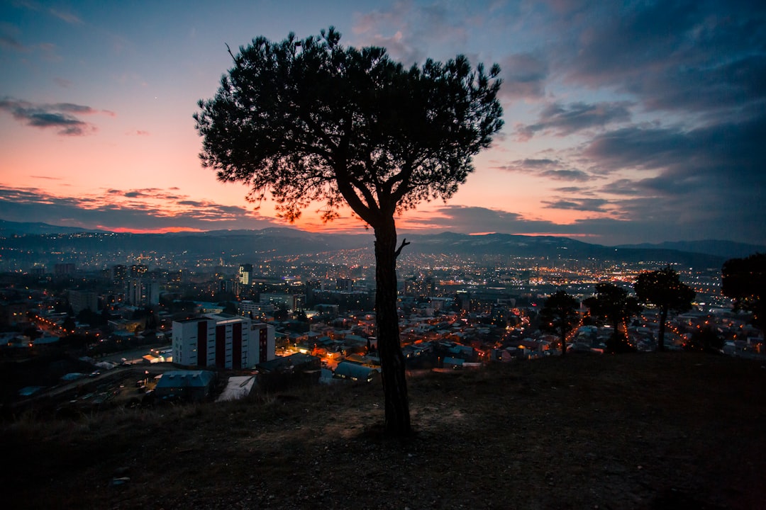 Getting a Passport in Harlem, GA: Step-by-Step Guide