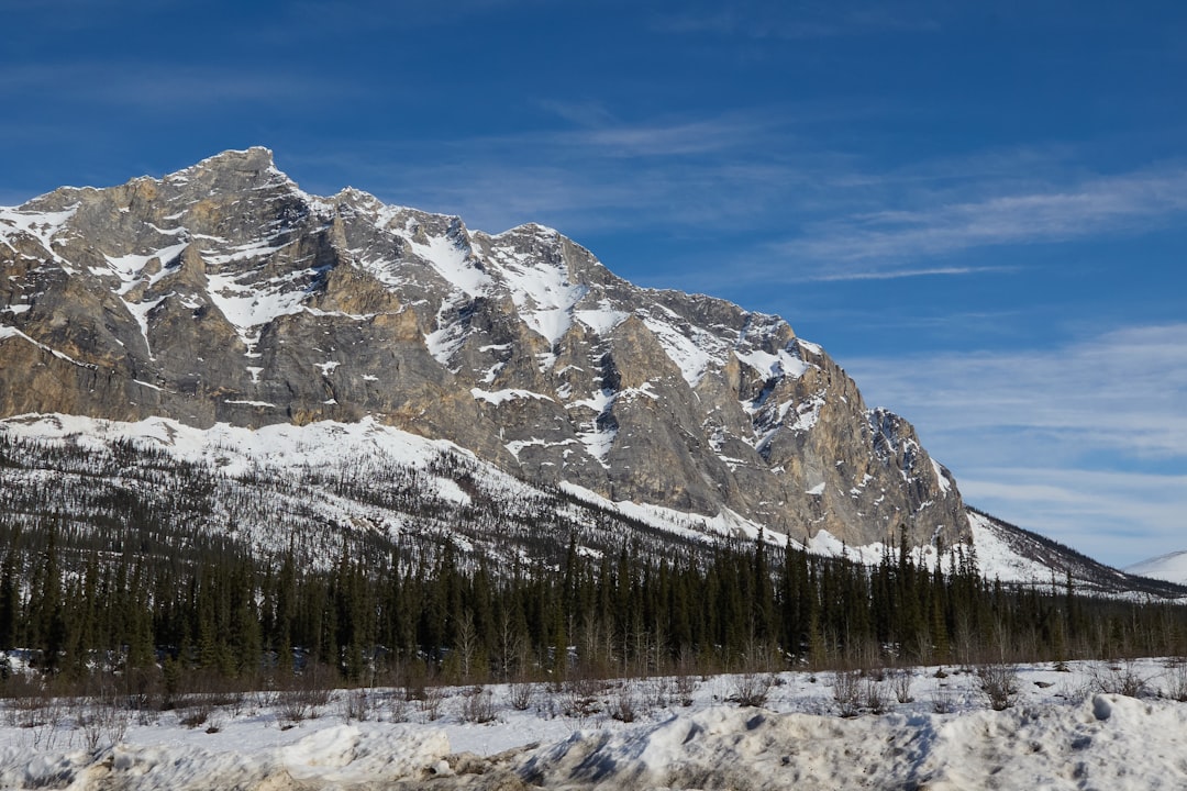 Getting a Passport in Healy, AK: Step-by-Step Guide