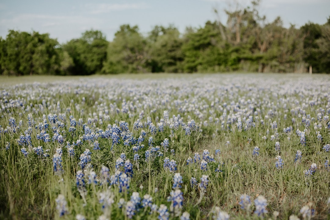 Getting a Passport in Hedwig Village, TX: Steps & Facilities